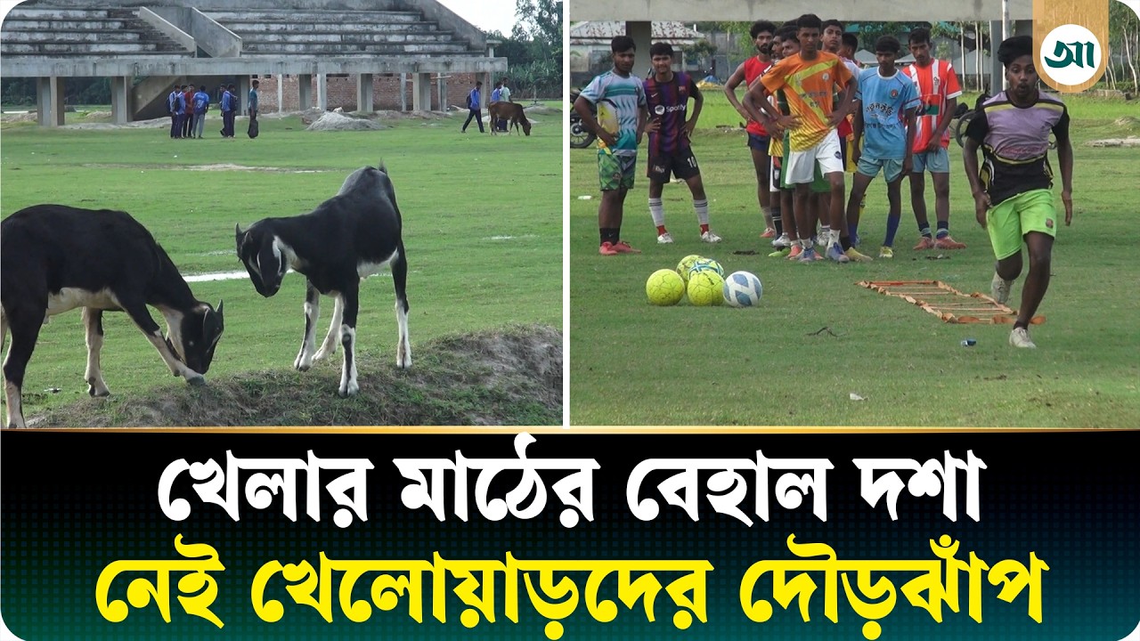 খেলোয়াড়দের বদলে মাঠজুড়ে গরু-ছাগলের বিচরণ, দ্রুত সংস্কারের দাবি