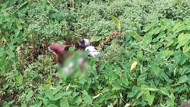 সখীপুরে ডোবায় মিলল বিধবার মরদেহ, পুলিশের ধারণা হত্যা