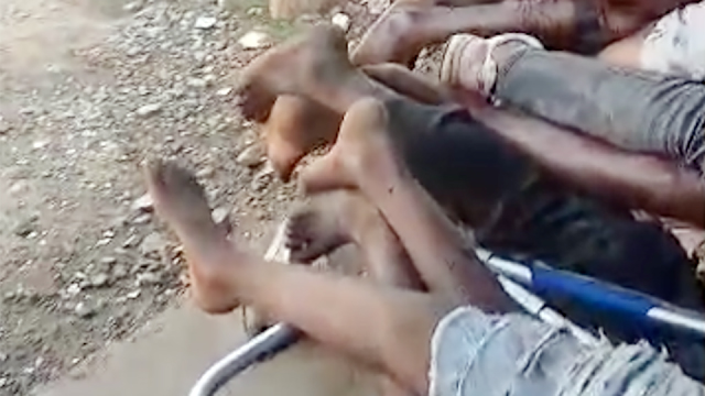 তানজানিয়ায় নির্বাচনের পর রাষ্ট্রীয় দমন–পীড়ন, গণহত্যার প্রমাণ পেল সিএনএন