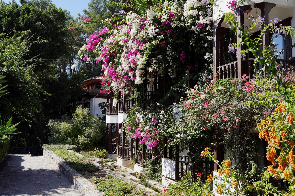 তুর্কি এই গ্রামটিকে বাঁচিয়েছিলেন এক কবি