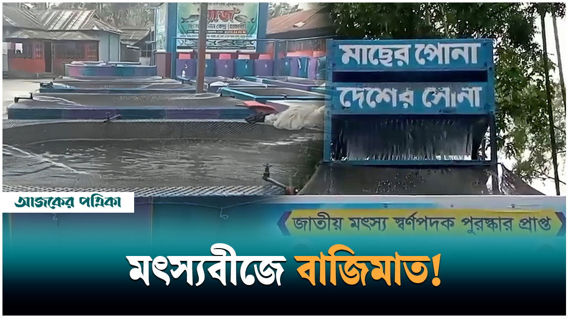 গৌরীপুরের মাছের রেণু যাচ্ছে সারা দেশে, মৎস্য স্বর্ণপদক পুরস্কার পেল ৫ ফিশারি