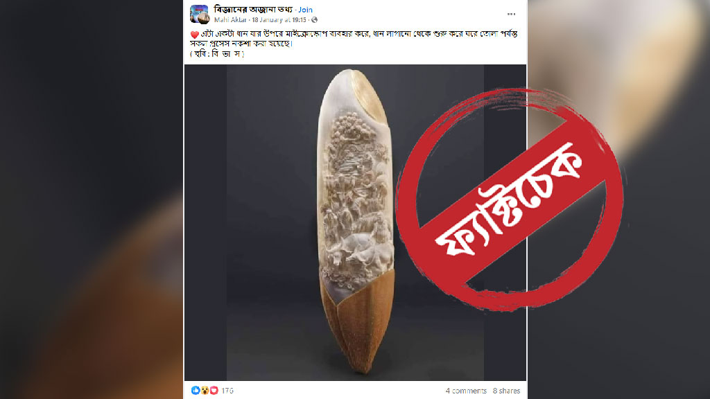 মাইক্রোস্কোপ ব্যবহার করে ধানের ওপর নকশা— ভাইরাল ছবিটির পেছনের ঘটনা জানুন