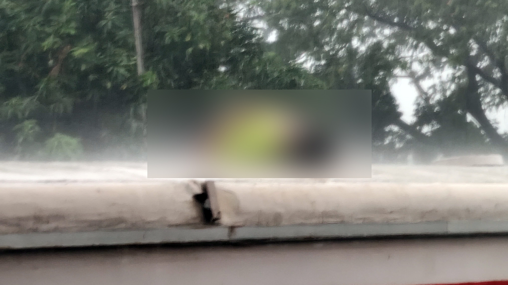 ট্রেনের ছাদে যাত্রার সময় বজ্রপাত, যুবকের মৃত্যু