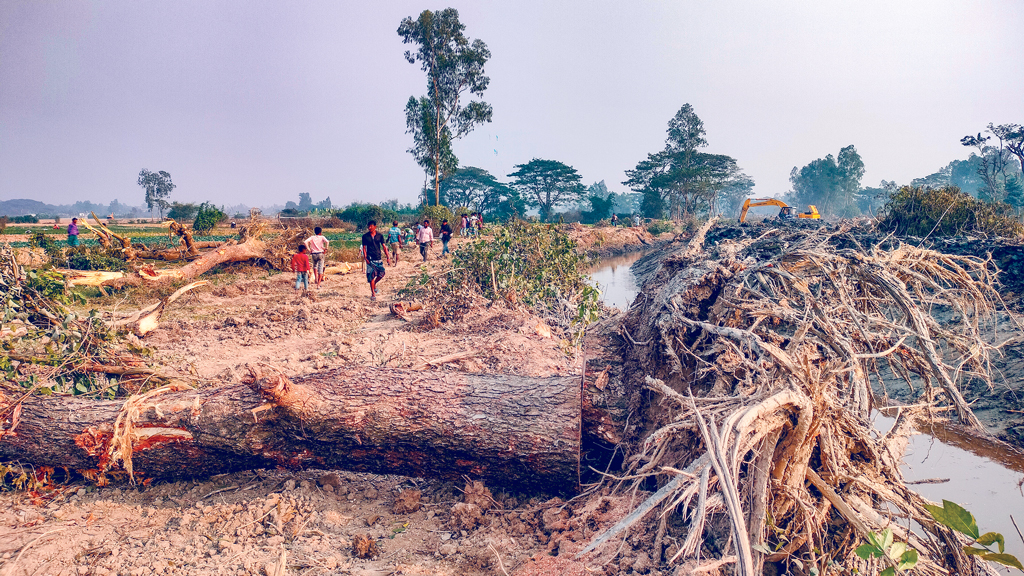 চট্টগ্রামের আনোয়ারা: ২ কিমি খাল খননে কাটা হচ্ছে ২ হাজার গাছ