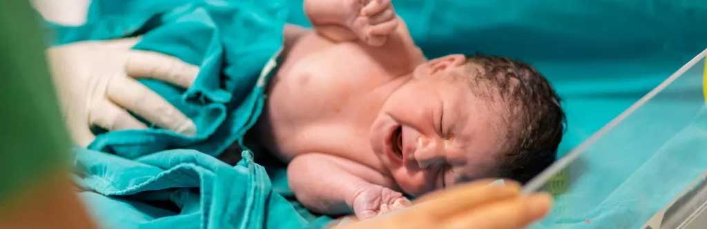 এ যেন কল্পকাহিনী—৩০ বছর ধরে হিমায়িত ভ্রূণ থেকে জন্ম নিল মার্কিন শিশু