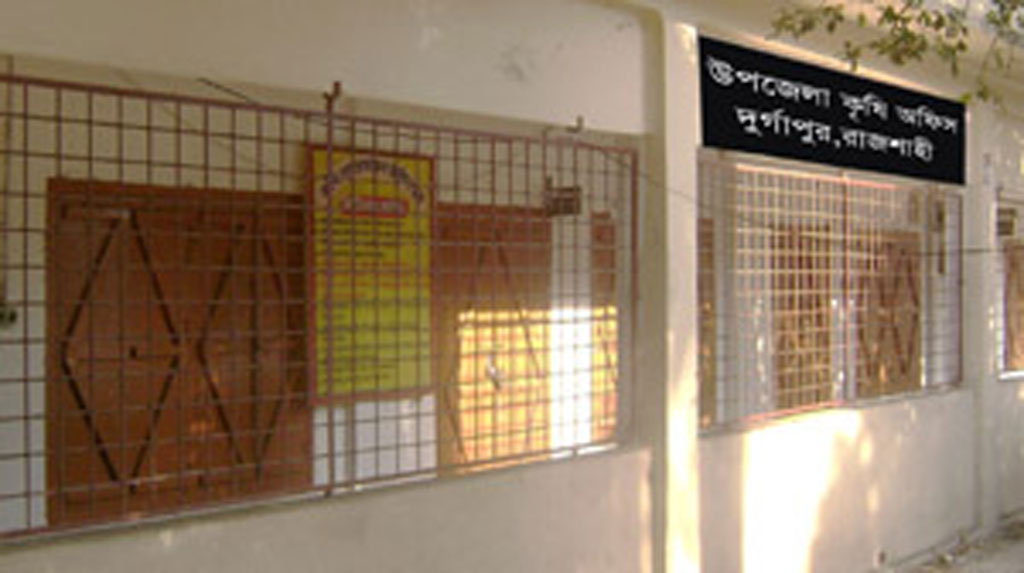 রাজশাহীর দুর্গাপুর: ভেজাল সার কিনে প্রতারিত কৃষক