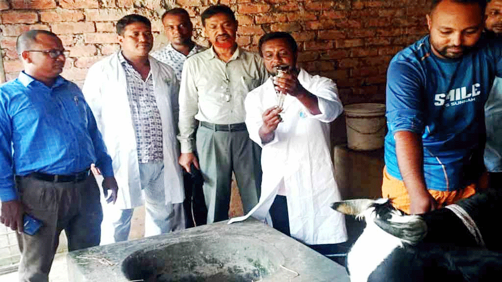 রংপুরে ৮ জনের অ্যানথ্রাক্স শনাক্ত