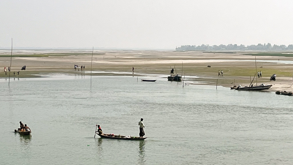 শক দিয়ে মাছ শিকার জলজ প্রাণীর ক্ষতি