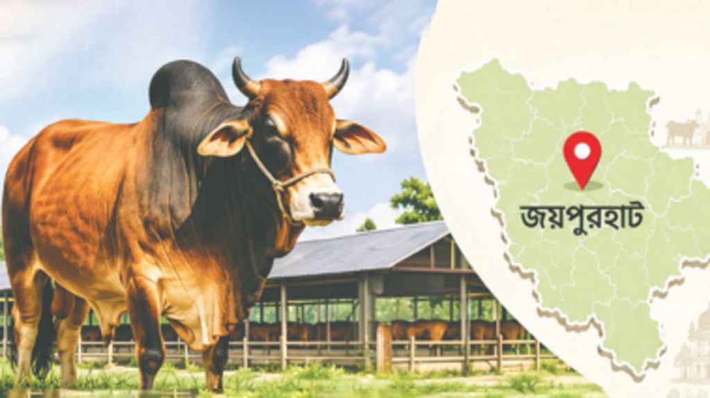 গরুতে গতি জীবনের চাকায়