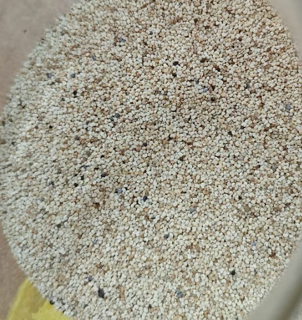 পাকিস্তান থেকে এল নিষিদ্ধ পণ্য, পাখির খাবার ও পপিবীজ জব্দ