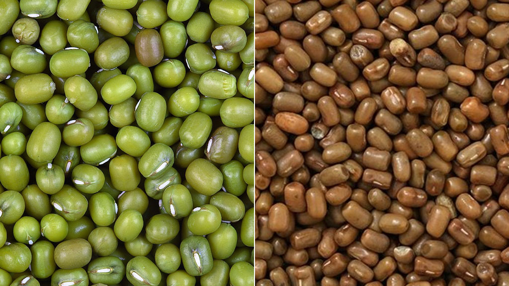 মথ ডালে ক্ষতিকর রঙ মিশিয়ে মুগ ডাল তৈরি, নিরাপদ খাদ্য কর্তৃপক্ষের সতর্কতা