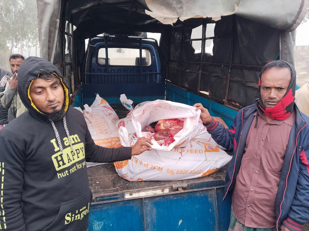 সিরাজগঞ্জে গোপনে ঘোড়া জবাই করে ঢাকায় নেওয়ার পথে চক্র আটক, জরিমানা