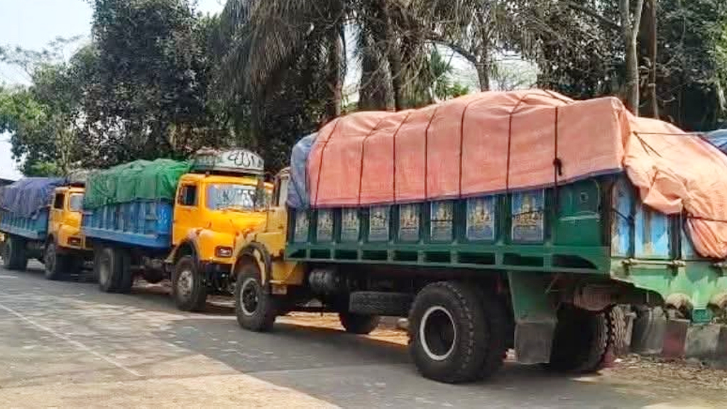 ভোলায় ১ হাজার ৪২০ বস্তা সার জব্দ, ট্রাকচালক আটক