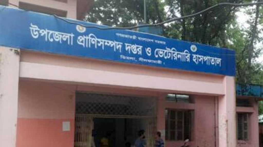 নীলফামারীর ডিমলা: টাকা ছাড়া মিলছে না বিনা মূল্যের চিকিৎসা
