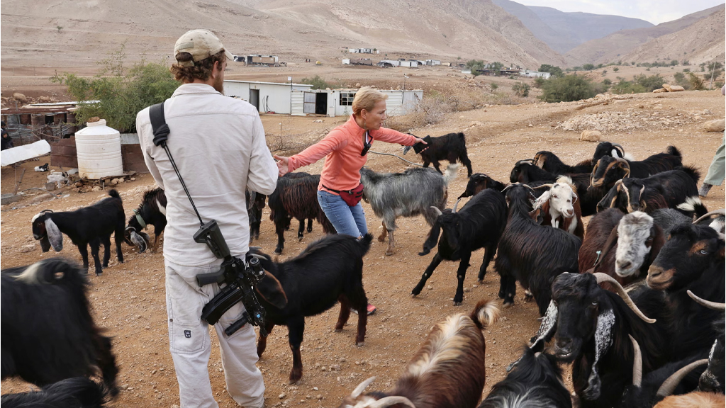ইসরায়েলি সেটলারদের আগ্রাসন ঠেকাতে ফিলিস্তিনি গ্রামে মানবঢাল একদল স্বেচ্ছাসেবক