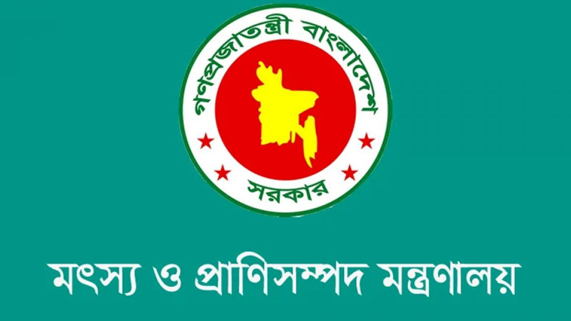 ভারত থেকে গরু আমদানির অনুমতিপত্রটি ভুয়া: প্রাণিসম্পদ মন্ত্রণালয়