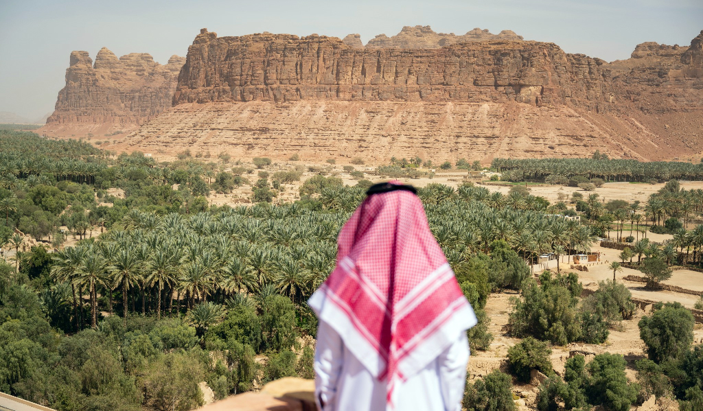 ২.৫ ট্রিলিয়ন ডলারের বিরল খনিজ থাকার দাবি করল সৌদি আরব