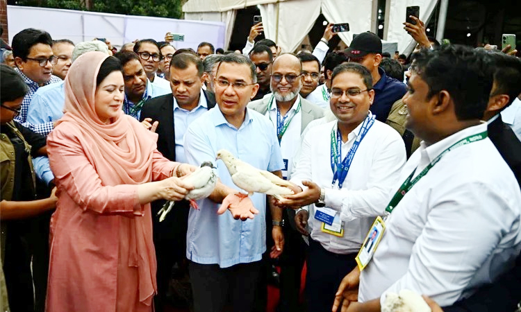 ড্যাবের ৩৭তম প্রতিষ্ঠাবার্ষিকীতে চিকিৎসক সমাবেশের উদ্বোধন করলেন প্রধানমন্ত্রী