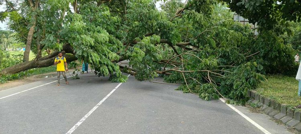 সীতাকুণ্ডে গাছ কেটে মহাসড়ক অবরোধের ঘটনায় ৮০ জনের বিরুদ্ধে মামলা, গ্রেপ্তার ২
