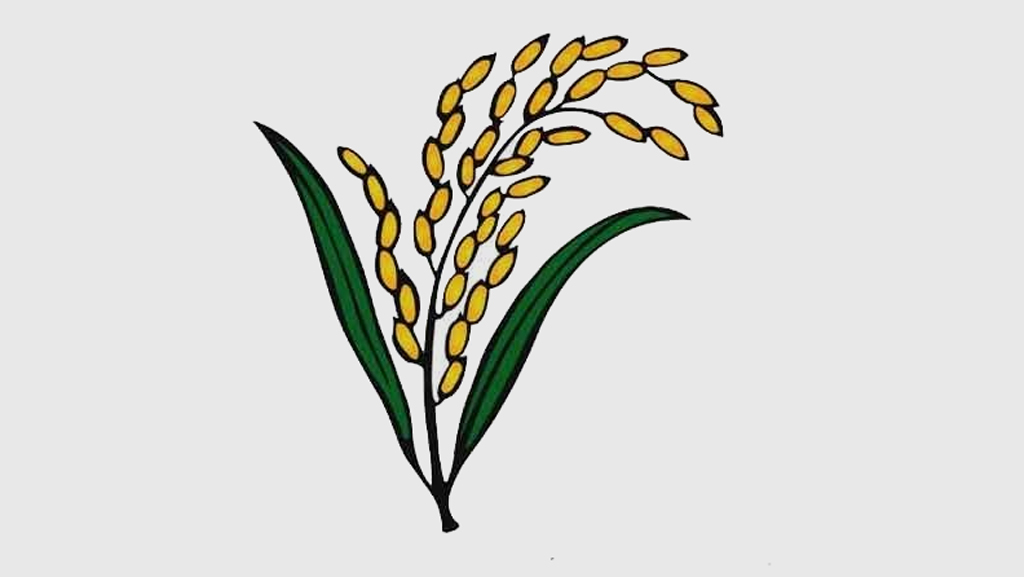 শেরপুর-২: ‘অঞ্চলপ্রীতির’ চ্যালেঞ্জে ধানের শীষের প্রার্থী