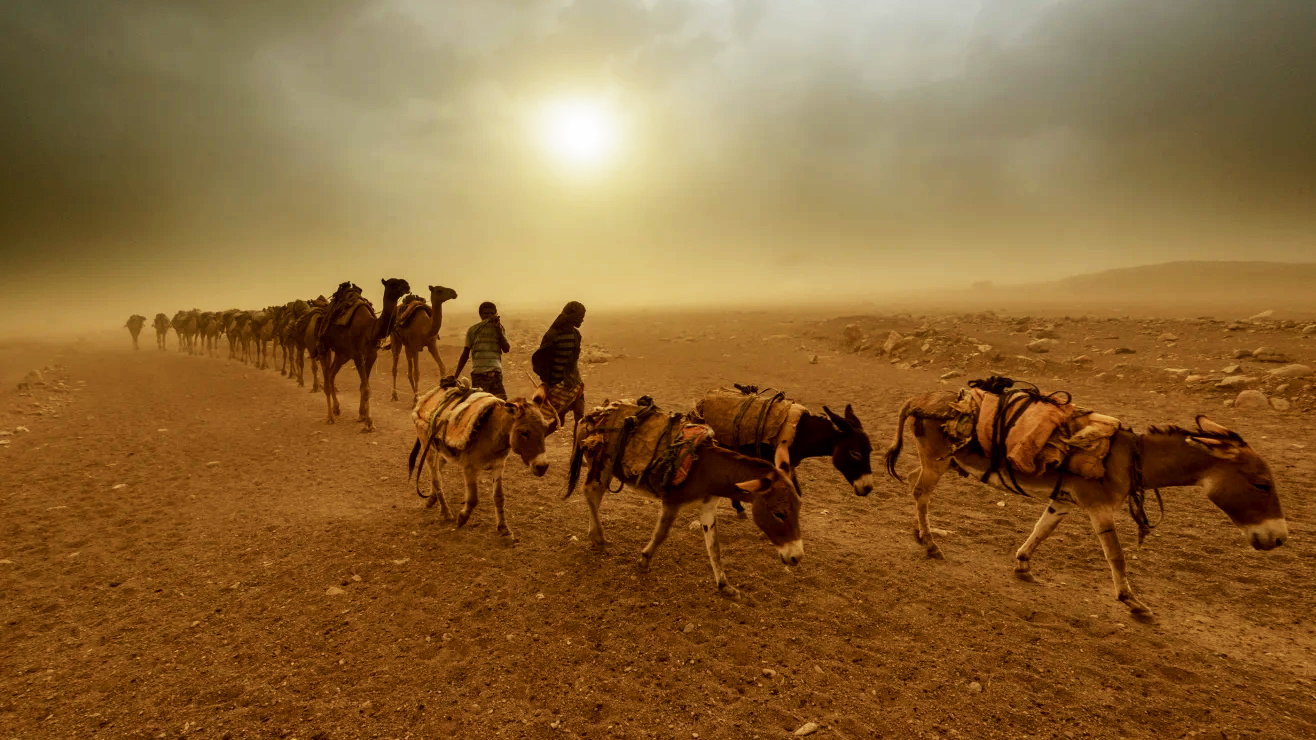 আফ্রিকার ‘মহাবিভাজন’ নিয়ে বিজ্ঞানীরা কেন এত উত্তেজিত