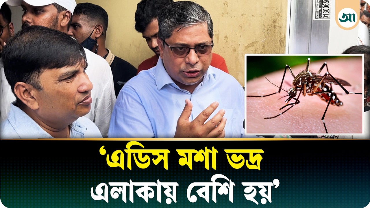 বাসার গ্যারেজে এডিস লার্ভা, অ্যাকশনে স্থানীয় সরকার প্রতিমন্ত্রী