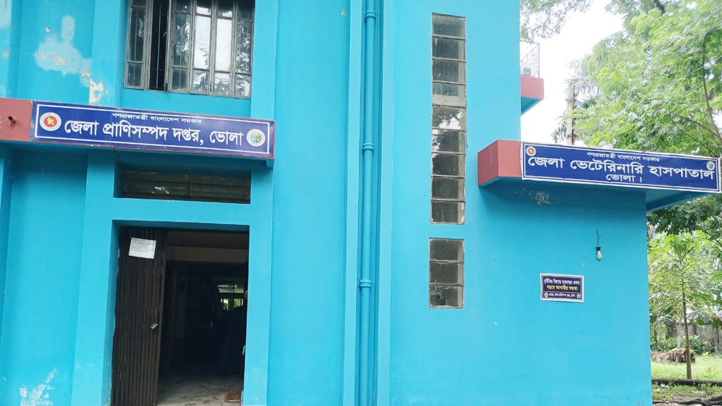 অর্ধেকের কম জনবল, ব্যাহত সেবা কার্যক্রম