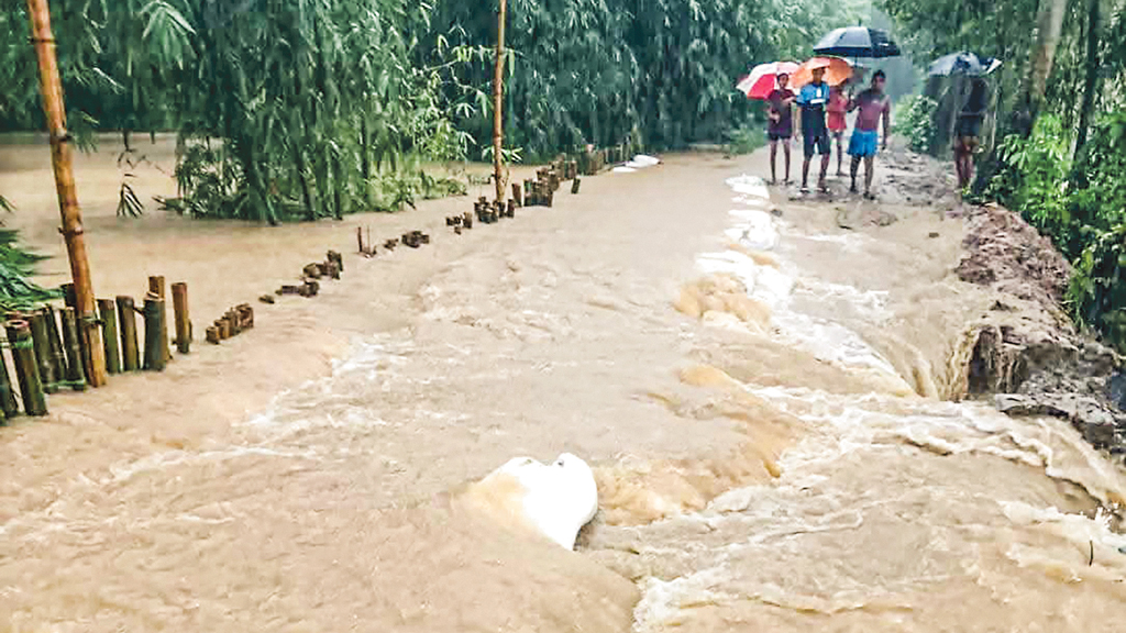 বৃষ্টিতে উপকূলজুড়ে ক্ষতি ফসল-ঘেরের