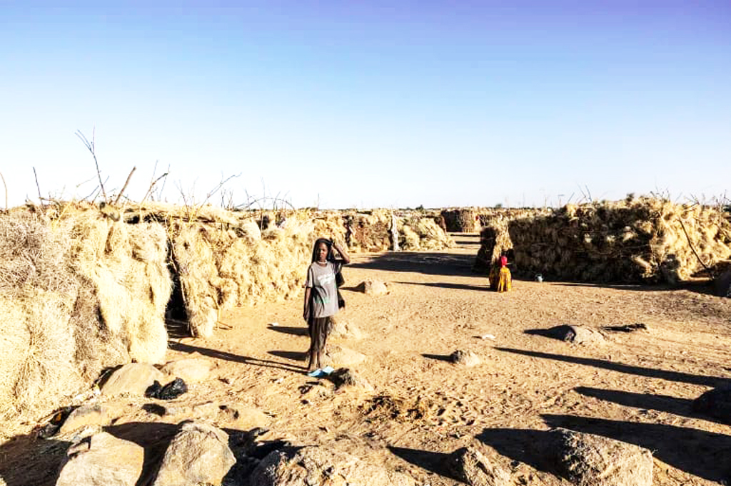 আরএসএফ–এর কাছ থেকে দারফুরের দুই অঞ্চল কেড়ে নিল সুদানি সেনাবাহিনী