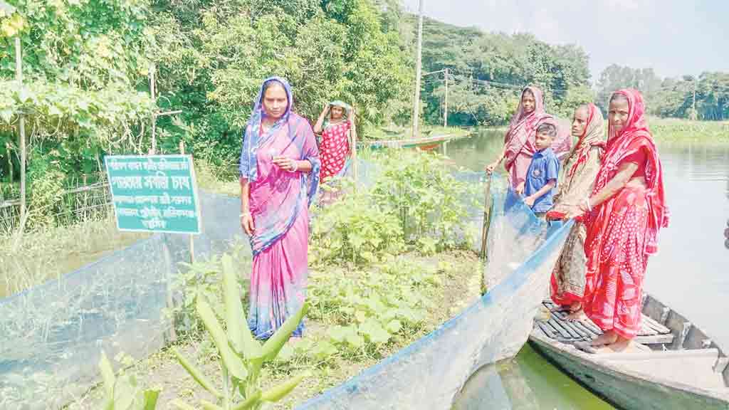 ভাসমান কৃষি : গাওতায় মানিকগঞ্জের আলপনার সাফল্য