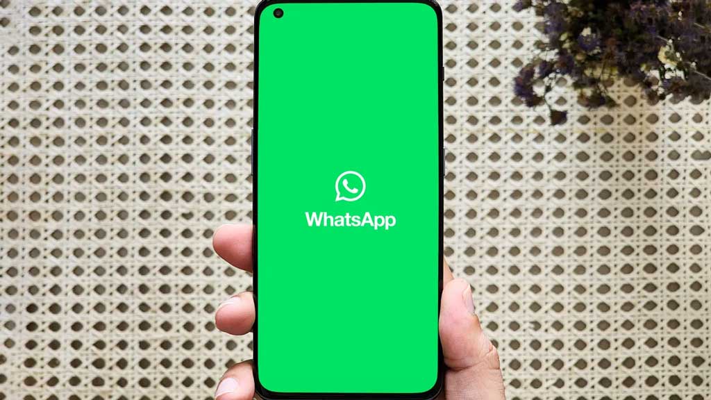 টেক্সট পাঠিয়ে প্রতারণা, ৬৮ লাখ হোয়াটসঅ্যাপ অ্যাকাউন্ট বন্ধ করল মেটা