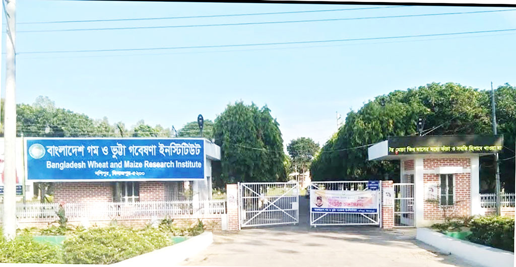 দিনাজপুর: গম-ভুট্টা গবেষণায় অনন্য
বিডব্লিউএমআরআই