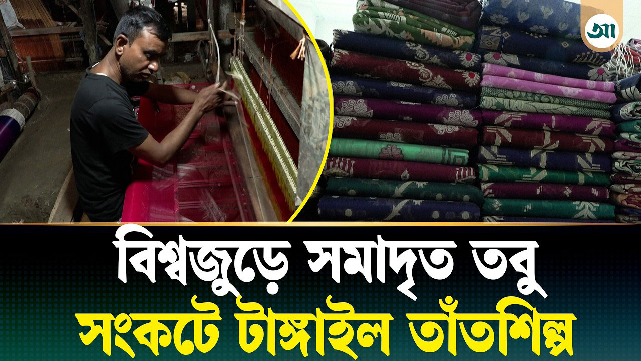 ঐতিহ্য বনাম বাস্তবতা: টাঙ্গাইলের তাঁতশিল্প আজ কোন পথে?