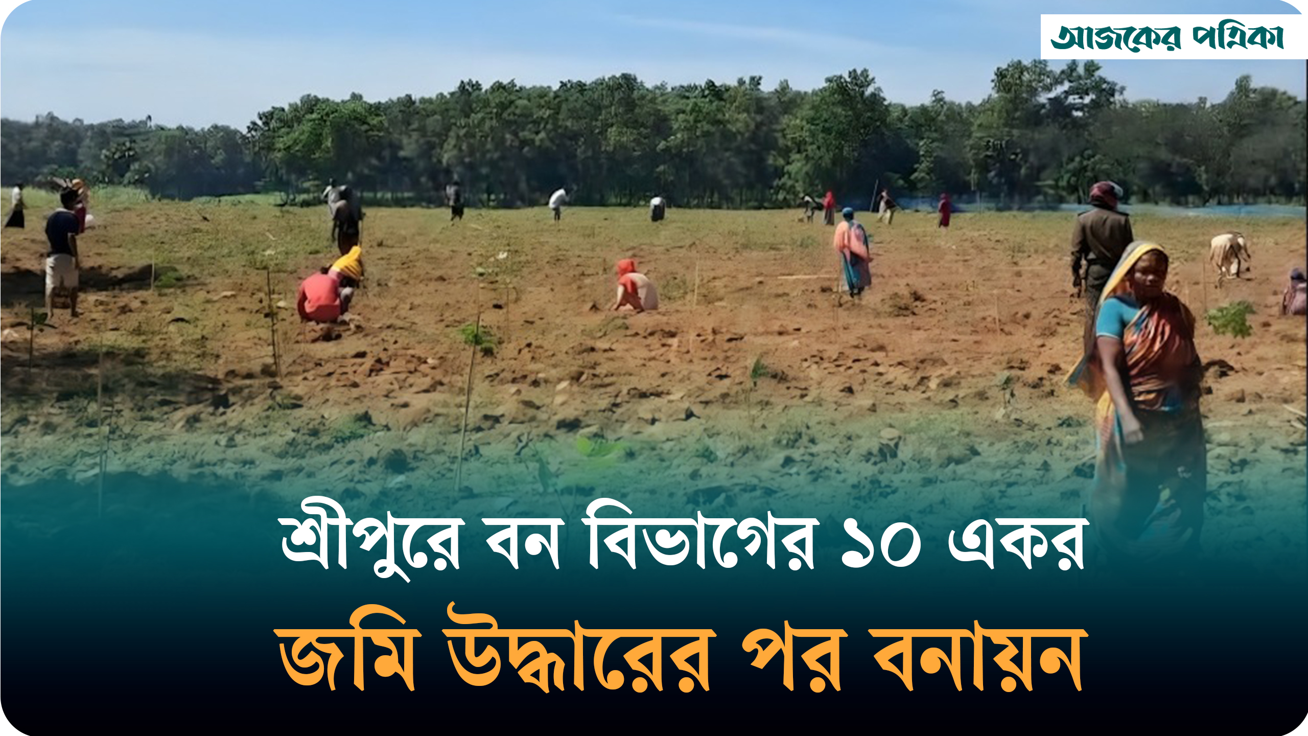 শ্রীপুরে বন বিভাগের অভিযান, ২০ কোটি টাকার ১০ একর জমি উদ্ধার করে বনায়ন