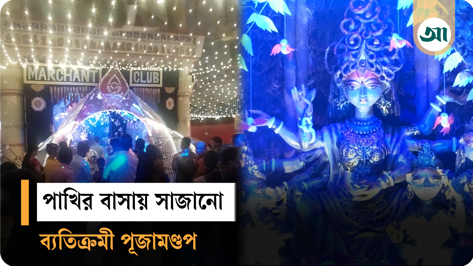 শেরপুরে ব্যতিক্রমী পাখির বাসার থিমের পূজামণ্ডপ, চোখ কাড়ছে সবার