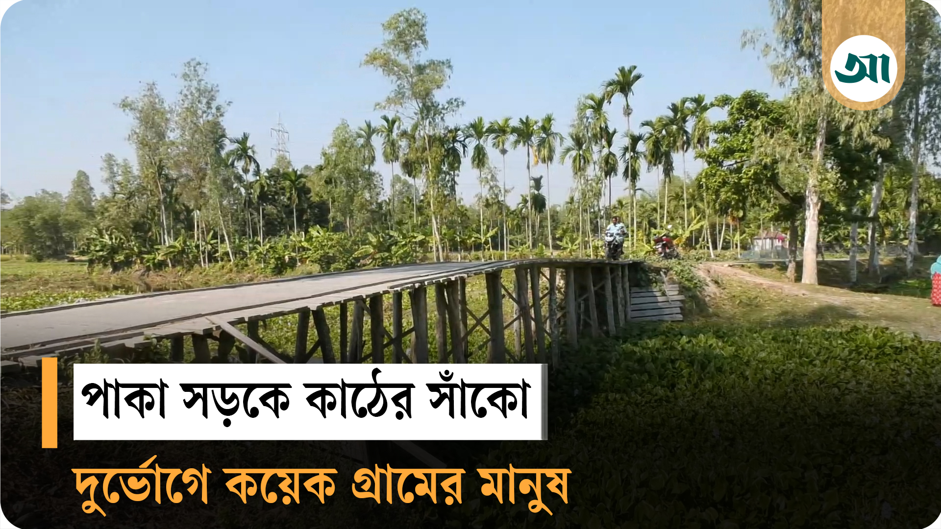 পাকা সড়কে কাঠের সাঁকো—দুই বছর ধরে দুর্ভোগে কয়েক গ্রামের মানুষ