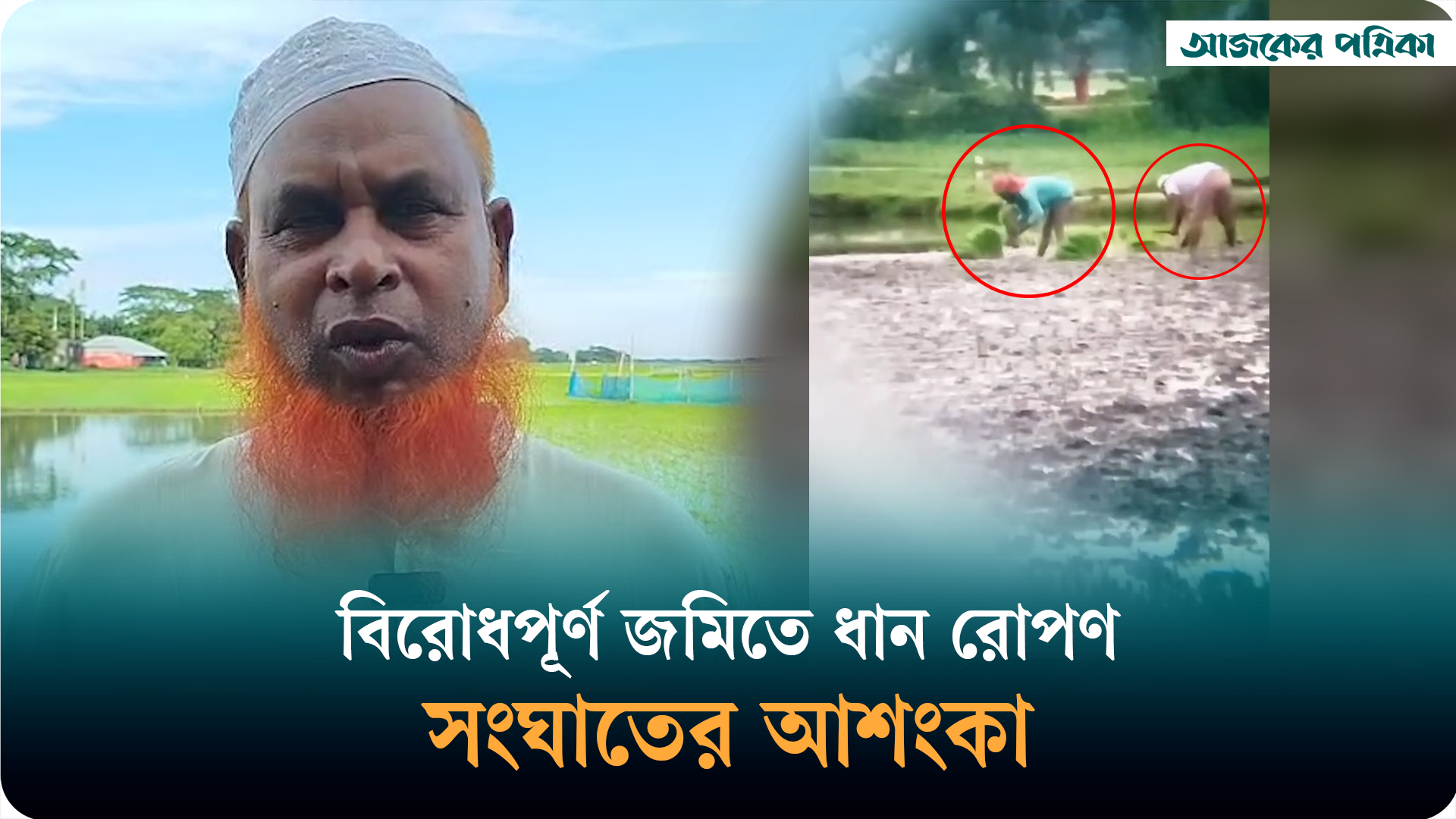 নেত্রকোনায় আদালতের নিষেধাজ্ঞা এড়িয়ে বিরোধপূর্ণ জমিতে ধান রোপণ, সংঘাতের আশঙ্কা