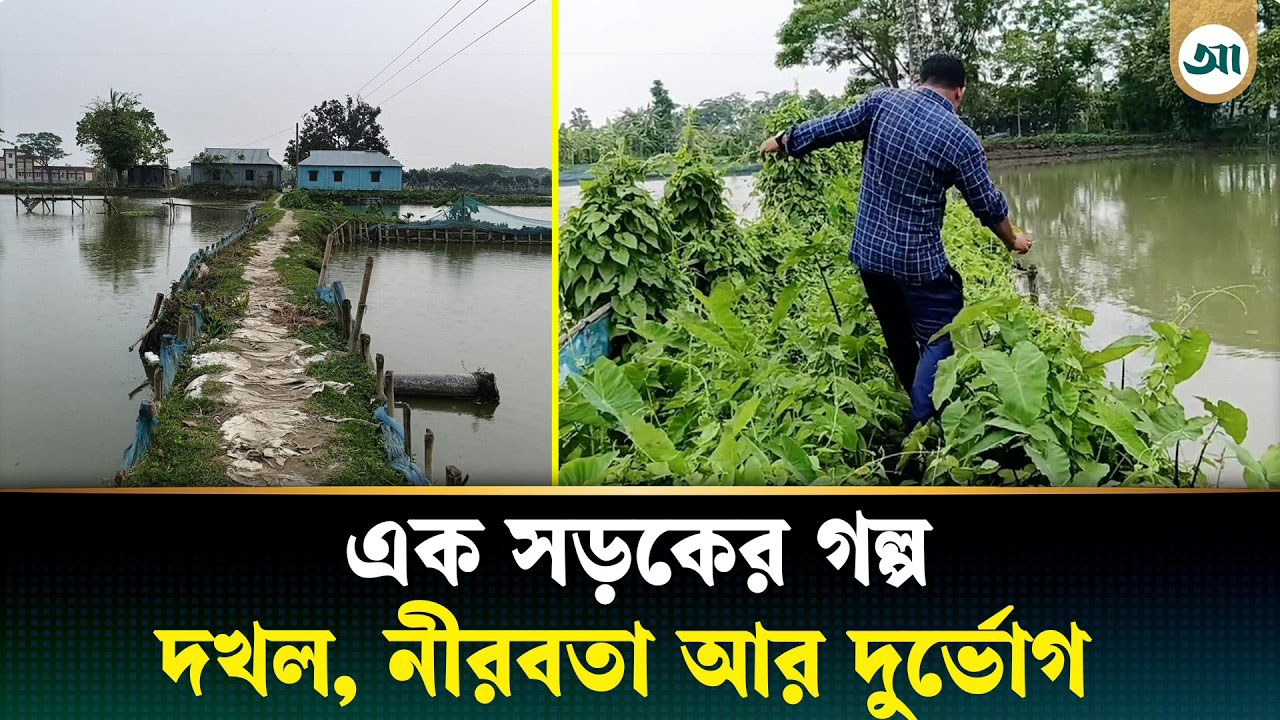 ফিশারির দখলে বিলীন সড়ক, ভোগান্তিতে হাজারো মানুষ