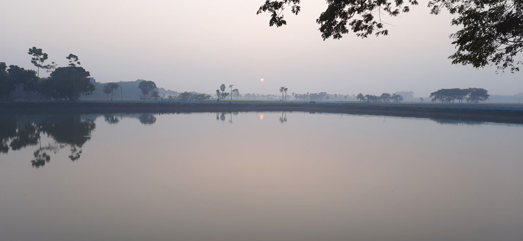 কালের গহিনে হারিয়ে গেল আরও একটি বছর। বছরের শেষ সূর্যাস্ত। ঝিকরগাছা, যশোর, ৩১ ডিসেম্বর ২০২৩। ছবি: মাসুদুর রহমান মাসুদ
