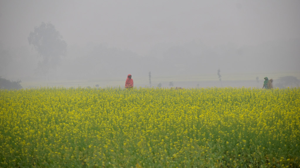 দিনের ছবি (০৫ ডিসেম্বর, ২০২৩)