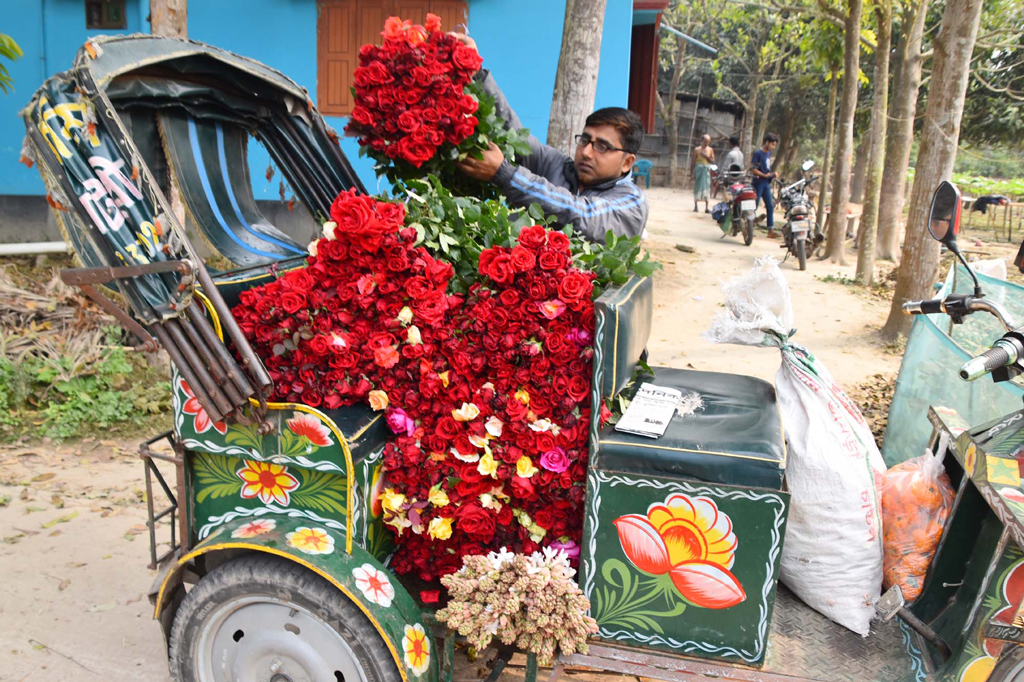 বিদায়ের দ্বারে মাঘ। বসন্ত আসি আসি। ঋতুরাজ বসন্তকে বরণ করতে প্রস্তুত প্রকৃতি। সঙ্গে মানুষেরও নেই কমতি। ইতিমধ্যে পয়লা ফাল্গুন ও বিশ্ব ভালোবাসা দিবস উদ্‌যাপনে নগর সেজেছে ফুলে। সকাল থেকে গোলাপ ও রজনী গন্ধা ফুল তুলে বাজারে নিয়ে যাচ্ছেন এক ফুল ব্যবসায়ী। হরিষের ডাইং এলাকা, পবা উপজেলা, রাজশাহী, ১৩ ফেব্রুয়ারি ২০২৪। ছবি: মিলন শেখ