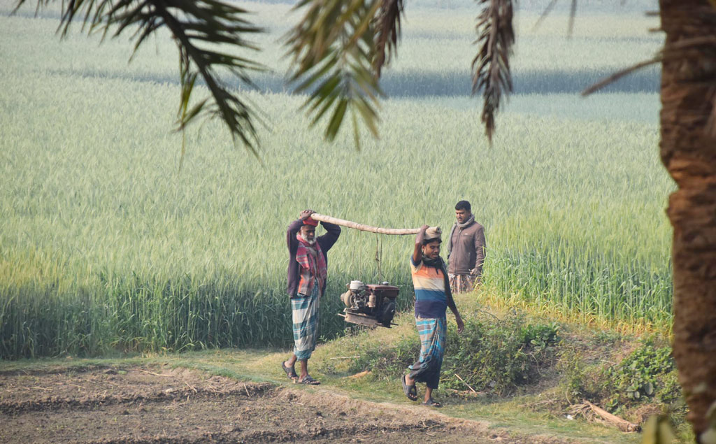 দিনের ছবি (১৭ ফেব্রুয়ারি, ২০২৩)
