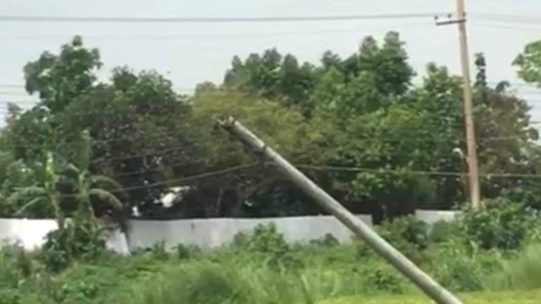 কৃষিজমিতে ঝুলে আছে বিদ্যুতের খুঁটি