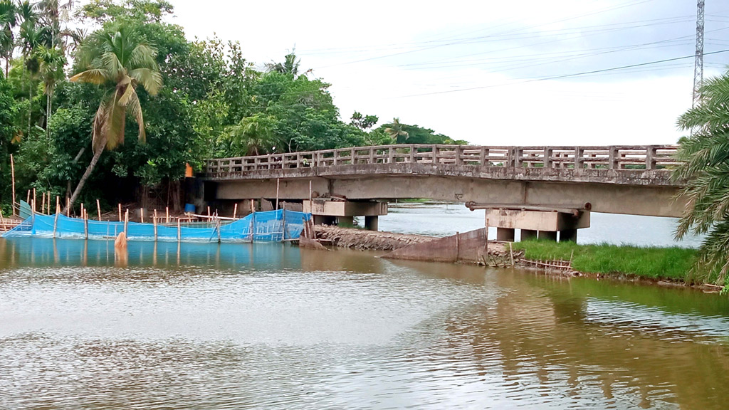 নদীতে বাঁধ দিয়ে মাছ চাষ