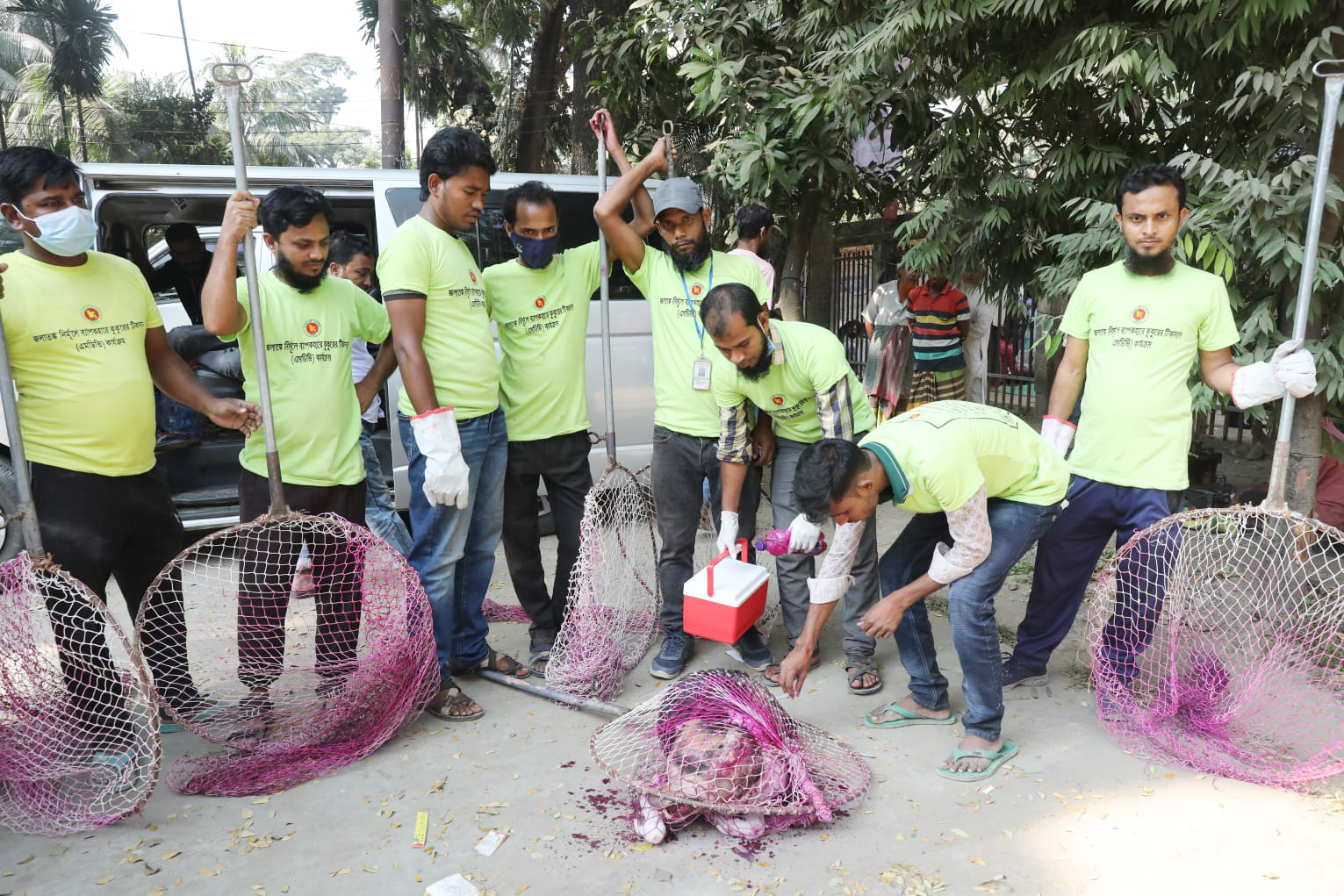 স্বাস্থ্য মন্ত্রণালয়ের উদ্যোগে রাজধানীর বেওয়ারিশ কুকুরদের টিকাদান কর্মসূচি চলছে। জাতীয় প্রেসক্লাব, ঢাকা, ২ ডিসেম্বর ২০২২। ছবি: জাহিদুল ইসলাম