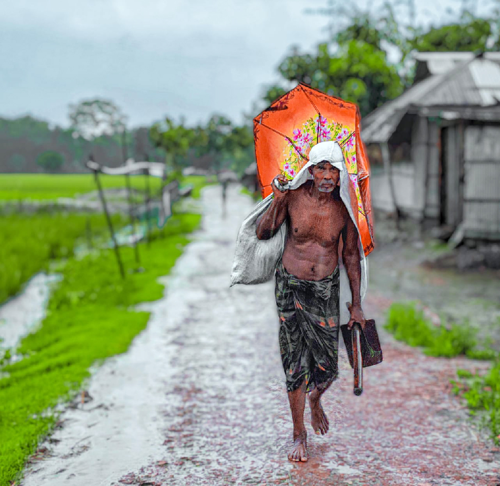 চার দিন অব্যাহত রয়েছে বৃষ্টি। কাজ ফেলে ঘরে বসে থাকার সুযোগ নেই কৃষকের। মাঠের কাজ শেষে কোদাল হাতে, বস্তা পিঠে মাথায় ভাঙা ছাতায় কাক ভেজা হয়ে ঘরে ফিরছেন কৃষক। বড় মসজিদ পাড়া, গোয়ালডিহি পশ্চিম হাসিমপুর, খানসামা, দিনাজপুর, ২৪ সেপ্টেম্বর। ছবি: মো. রকিবুল ইসলাম