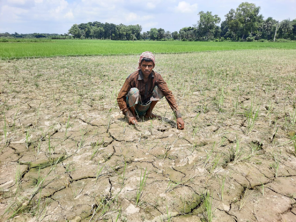 অনাবৃষ্টিতে খরচ বেড়ে দ্বিগুণ