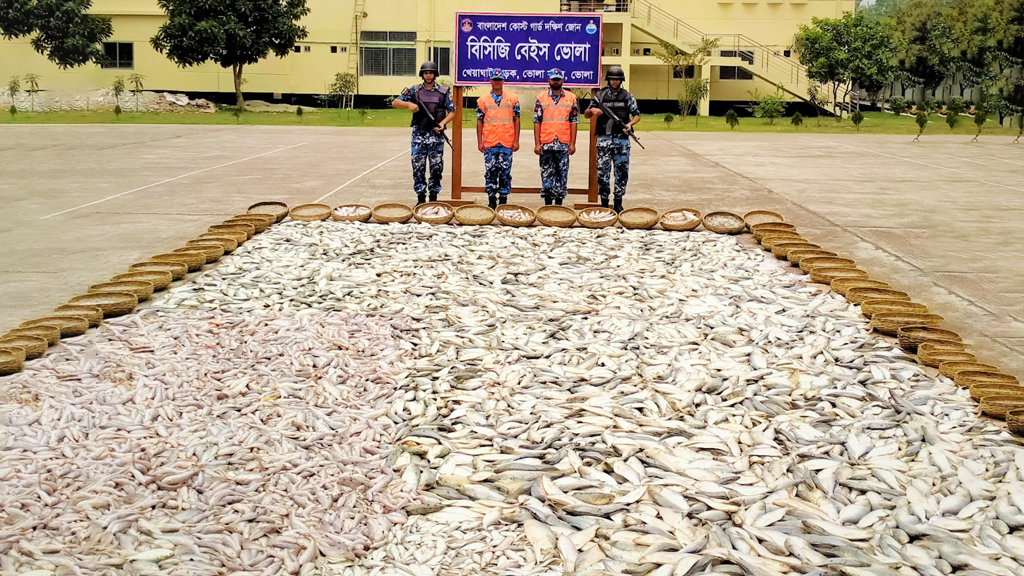 ভোলায় দুটি নৌকাসহ সাড়ে ৫ হাজার কেজি অবৈধ মাছ জব্দ