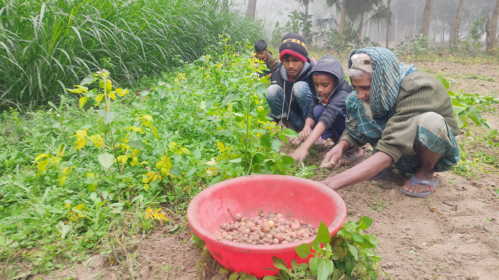 দিনের ছবি (০৫ জানুয়ারি, ২০২৩)