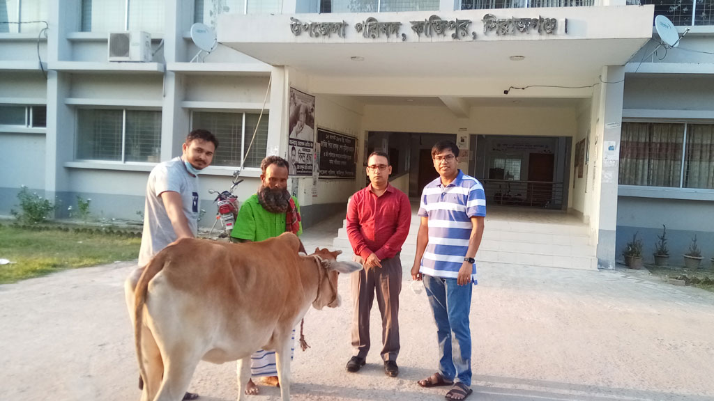 ঘানি টানা সেই দম্পতি পেলেন গরু